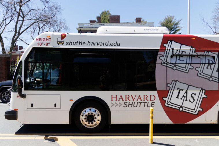 house-committee-blasts-harvard-for-not-suspending-anti-semitic-students