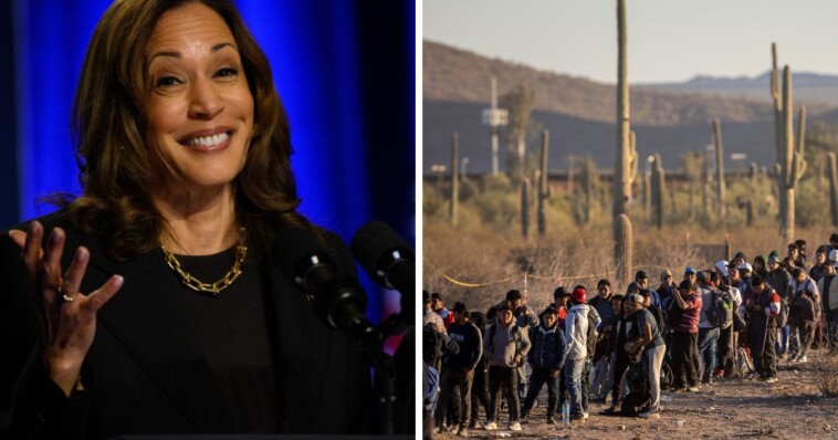 rancher-who’s-dealt-with-devastating-impact-of-illegal-immigration-sends-message-to-kamala-ahead-of-border-visit