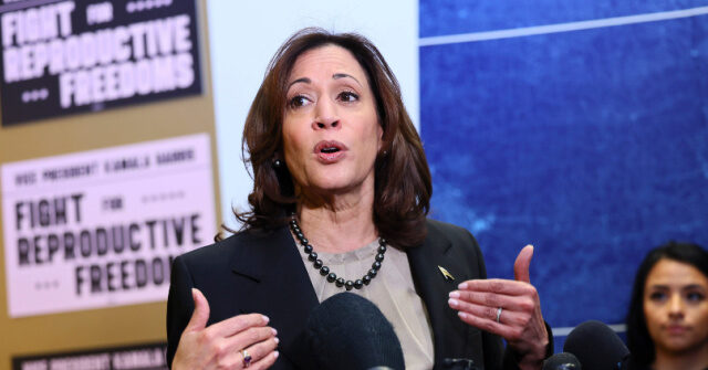 fact-check:-kamala-harris-claims-trump-‘did-nothing-to-fix’-us.-immigration-system