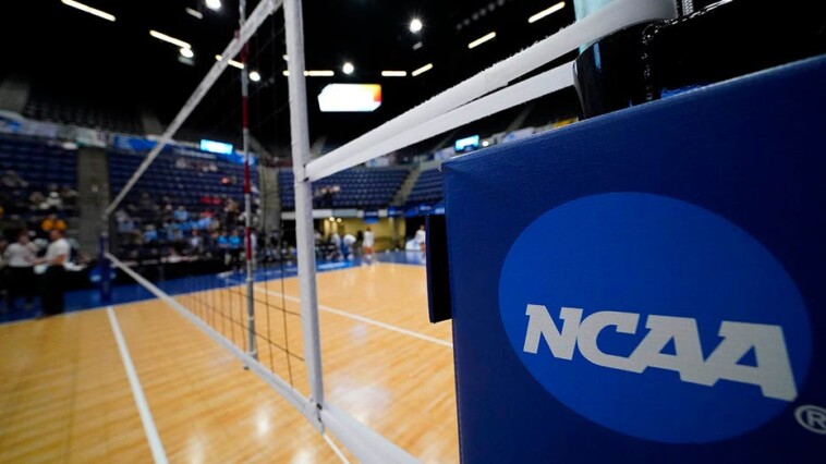 boise-state-women’s-volleyball-forfeits-upcoming-match-against-sjsu-amid-controversy-surrounding-trans-player