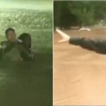 fox-meteorologist-interrupts-live-report-to-save-woman-in-distress,-leaving-his-colleagues-in-awe