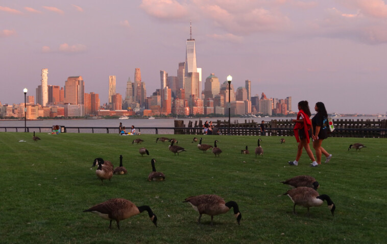 nj-man-slapped-with-animal-abuse-after-fatally-crashing-e-bike-into-goose