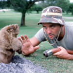 hogwild-drama-unfolds-as-hero-teen-thwarts-unhinged-groundhog’s-attack-on-jogger