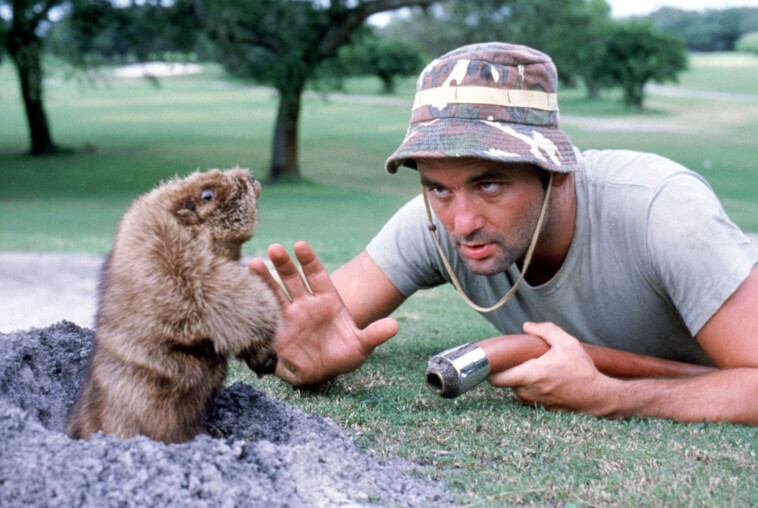 hogwild-drama-unfolds-as-hero-teen-thwarts-unhinged-groundhog’s-attack-on-jogger