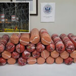 woman-caught-smuggling-more-than-700-pounds-of-bologna-at-texas-border