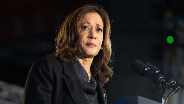 after-extensive-research,-political-experts-believe-harris-struggling-to-connect-with-male-voters-because-she’s-awful