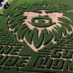 carved-in-corn:-dan-campbell-and-caitlin-clark-inspire-mazes