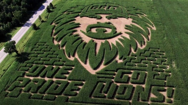 carved-in-corn:-dan-campbell-and-caitlin-clark-inspire-mazes