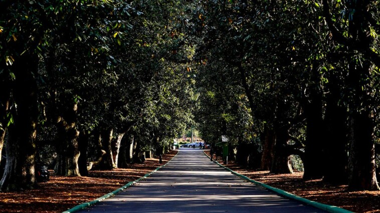 augusta-national-assesses-damage-to-course-after-‘catastrophic-and-historic-impact’-of-hurricane-helene