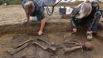 dozens-of-‘exceptionally-well-preserved’-viking-skeletons-unearthed-in-denmark