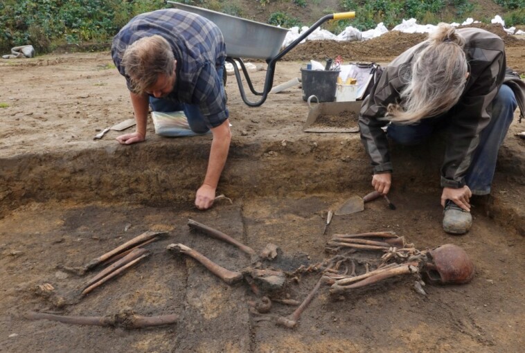 dozens-of-‘exceptionally-well-preserved’-viking-skeletons-unearthed-in-denmark