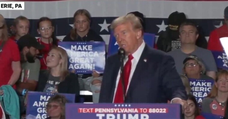 president-trump-rips-kamala-harris-at-erie,-pa-rally-on-the-border-crisis-—-“why-didn’t-she-do-it-almost-4-years-ago?-why-didn’t-she-do-it?-because-she-can’t-do-it”-(video)