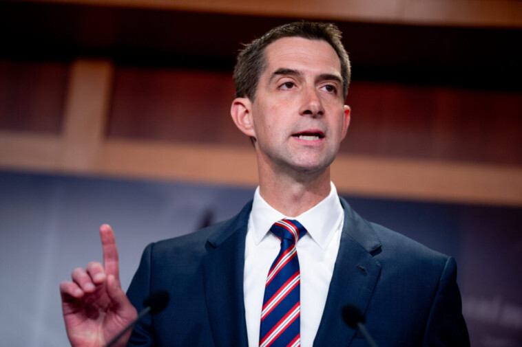 tom-cotton:-israel-needs-to-finish-hezbollah-‘once-and-for-all’