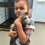 rhode-island-boy,-6,-starts-own-poop-scooping-business-to-pay-for-cat-adoption