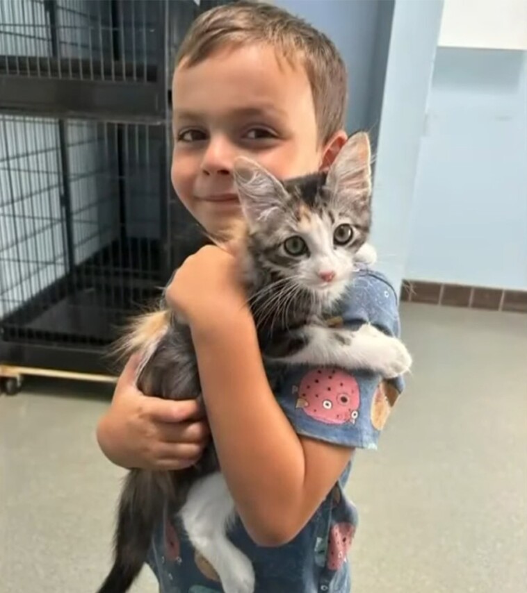 rhode-island-boy,-6,-starts-own-poop-scooping-business-to-pay-for-cat-adoption