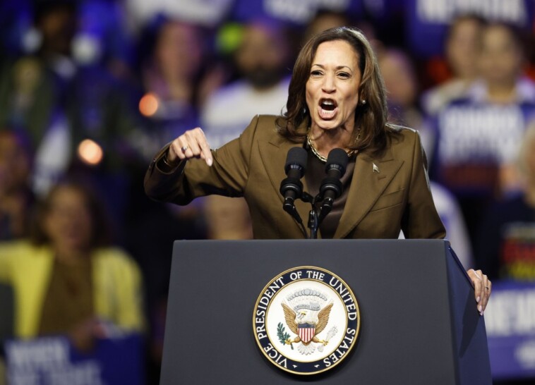 kamala-harris-hosts-las-vegas-rally-in-tight-battle-over-nevada-voters:-‘we-have-to-be-a-little-afraid’