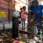 brooklyn’s-viral-fire-hydrant-goldfish-pond-is-as-popular-as-ever-—-but-will-it-survive-the-winter?