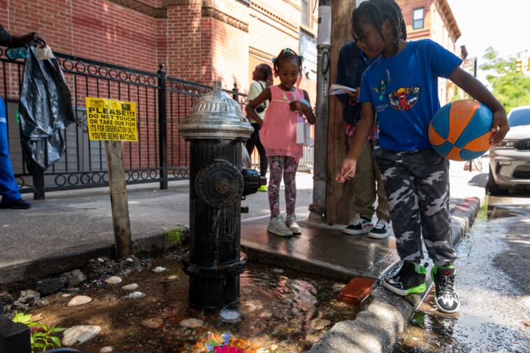 brooklyn’s-viral-fire-hydrant-goldfish-pond-is-as-popular-as-ever-—-but-will-it-survive-the-winter?