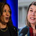 harris-campaign-‘underwater’-in-key-battleground-state,-dem-rep-warns-donors