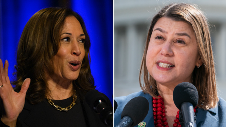 harris-campaign-‘underwater’-in-key-battleground-state,-dem-rep-warns-donors