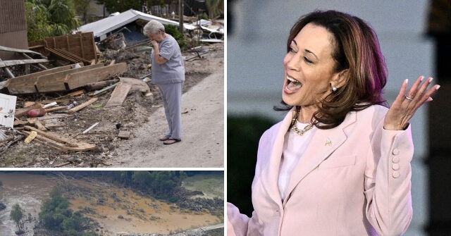 kamala-harris-partied-with-hollywood-celebrities-in-wake-of-hurricane-helene-devastation:-‘oh,-it’s-good-to-be-home!’