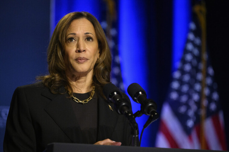 mi-dem-senate-candidate-warns-internal-polling-shows-kamala-‘underwater’-in-state