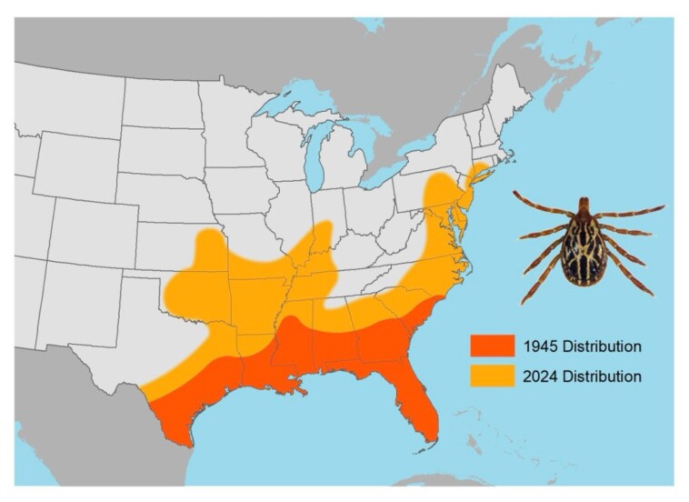 first-human-case-of-tick-borne-disease-in-the-northeast-reported-in-connecticut