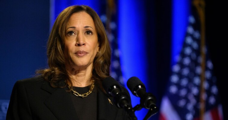 battleground-congresswoman-warns-fellow-democrats-about-kamala-harris’-status:-‘we-have-her-underwater’