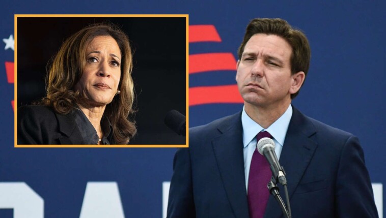 what-a-jerk!-kamala-wants-to-help-with-hurricane-relief-but-desantis-refuses-to-tell-her-where-florida-is