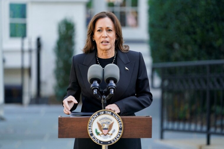 kamala-harris-leans-on-dem-heavyweights,-stages-media-blitz-as-polls-show-her-slipping-against-trump