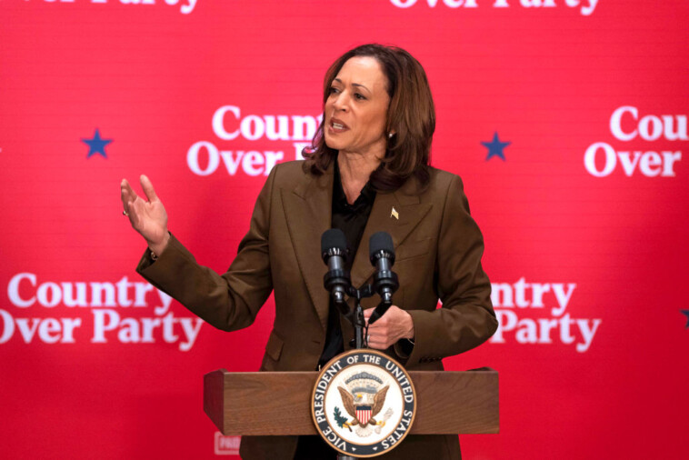 new-$2-million-ad-campaign-hits-kamala-on-abortion-in-battleground-states