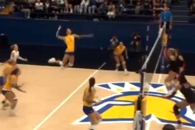 transgender-san-jose-state-volleyball-player-who’s-provoked-forfeits-spikes-ball-in-opponent’s-face