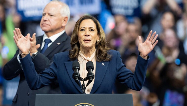 experts-say-kamala-can-still-win-if-she-doesn’t-appear-in-public-again-between-now-and-election-day