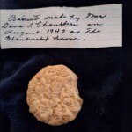 family-finds-odd-bit-of-food-while-cleaning-out-late-grandmother’s-freezer,-note-attached-to-it-reveals-it’s-much-more-than-a-biscuit