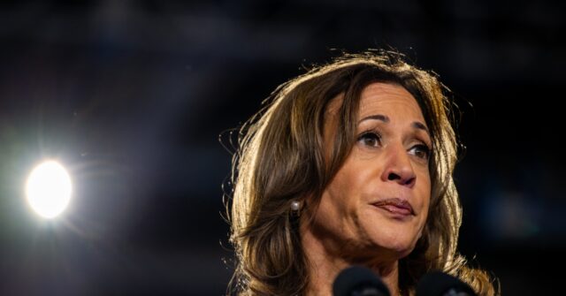 poll:-60%-say-kamala-harris-‘hasn’t-clearly-explained’-her-immigration-policies