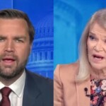 awesome:-jd.-vance-obliterates-despicable-abc-host-martha-raddatz-when-she-lies-about-the-illegal-alien-gangs-taking-over-america-and-trashes-president-trump-(video)