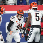 week-6-care/don’t-care:-bengals-fans,-fantasy-managers-should-hope-tee-higgins-joe-burrow-marriage-stays-intact