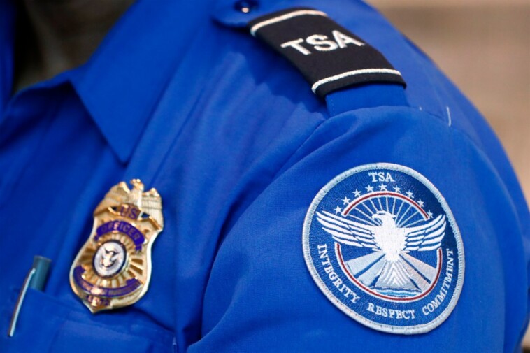 tsa-air-marshals-too-busy-targeting-jan.-6,-terror-suspects-to-police-migrants-flying-around-us-without-ids:-sources