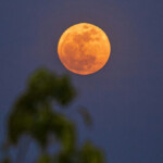 largest-‘supermoon’-of-the-year-coming-this-week-with-potentially-orange-hue