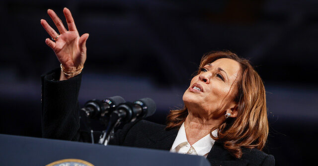 kamala-harris-word-salad:-‘what-we-see-is-so-hard-to-see-that-we-lose-faith-or-a-vision-of-those-things’