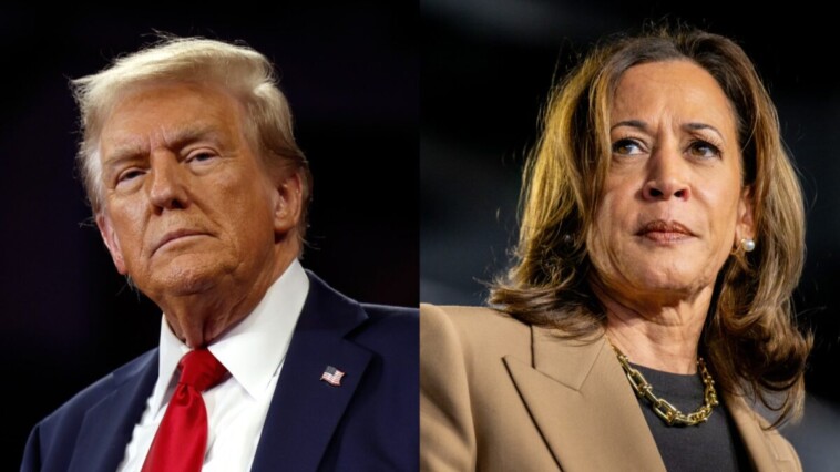 ‘could-be-something-very-wrong-with-her’:-trump-calls-on-kamala-to-take-cognitive-test