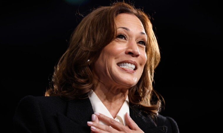 kamala-harris-plagiarized-sections-of-2009-book:-report