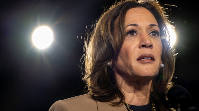 majority-of-americans-say-kamala-harris-hasn’t-‘clearly-explained’-immigration-stance