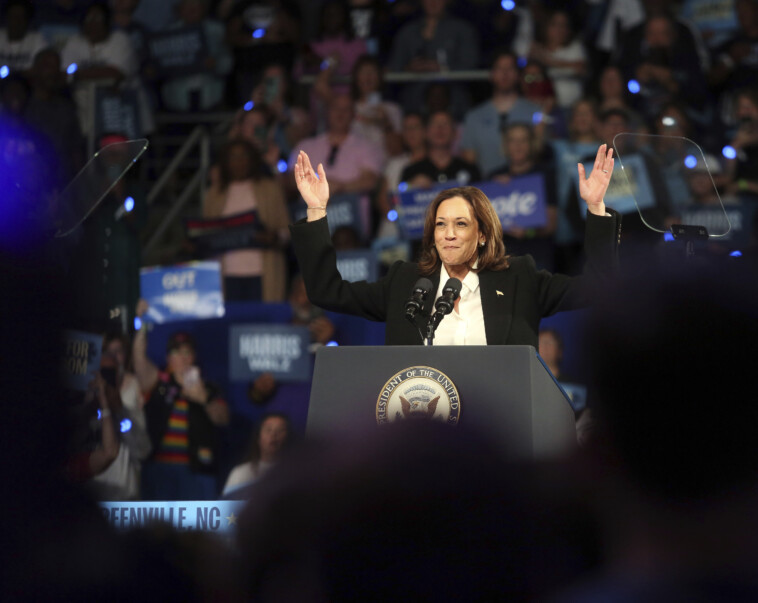 top-kamala-harris-adviser-pans-public-polls-as-‘horses–t,’-says-‘army’-of-‘incels’-isn’t-showing-up-in-droves-for-trump