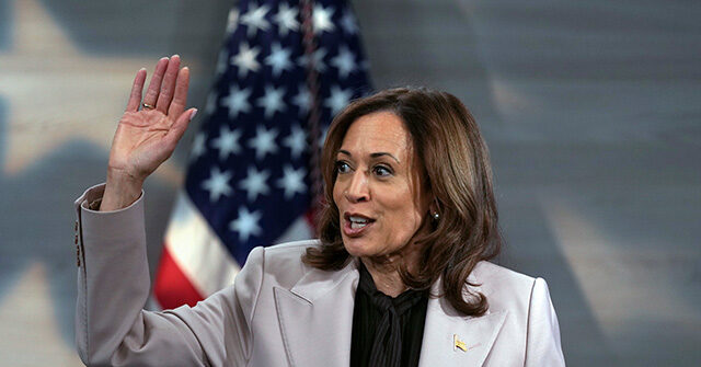 dem-rep.:-it’s-‘bigoted’-to-point-to-harris’-support-for-tax-funded-sex-changes-for-migrants,-but-it’s-also-a-non-issue