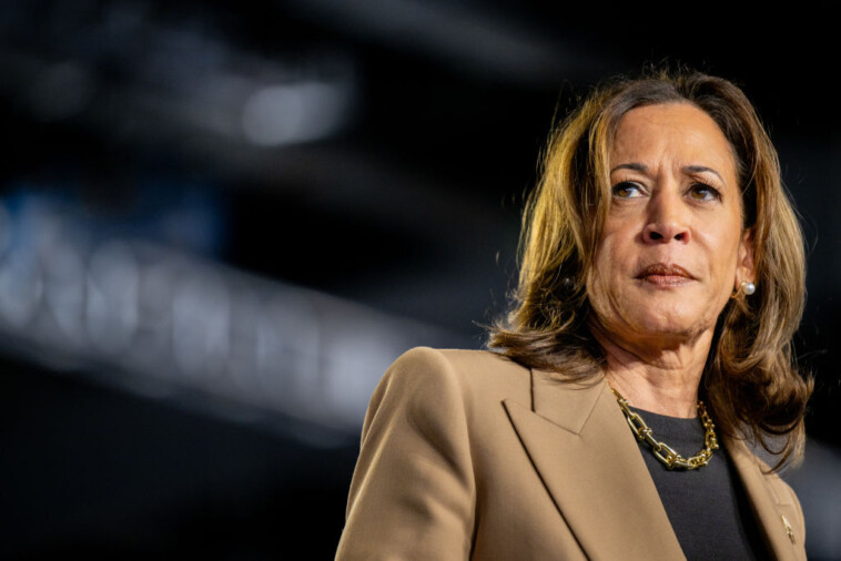 terrified-as-her-numbers-among-black-men-dive,-kamala-rolls-out-plan-for-them