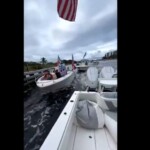 watch:-hateful-leftists-flying-nazi-flags-get-a-rude-awakening-when-they-try-to-infiltrate-a-trump-boat-parade-and-embarrass-maga-nation