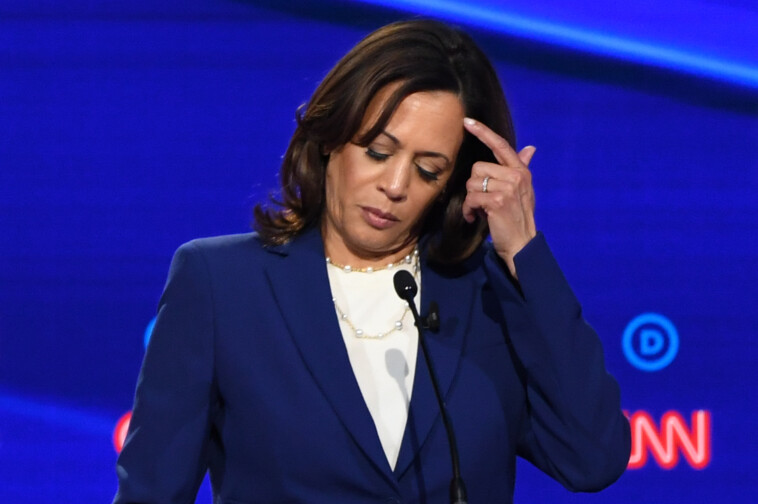 new-york-times-ignored-examples-of-kamala’s-plagiarism,-withheld-them-from-cited-‘expert’