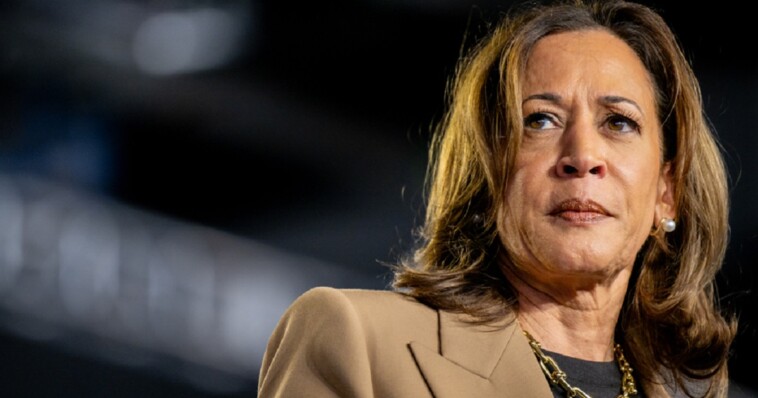 plagiarism-expert-drops-damning-post-after-being-cited-in-nyt-article-downplaying-allegations-against-kamala-harris