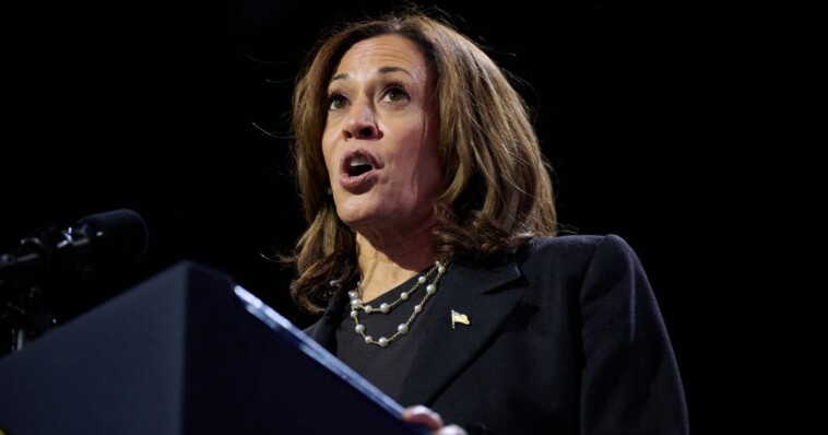 harris-announces-her-plan-for-black-men:-legalize-certain-types-of-drug-dealing